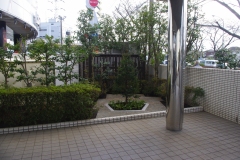 記念樹広場の庭