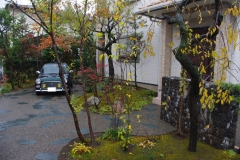 曲線を活かした駐車場の庭