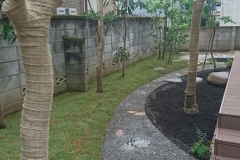 アプローチの庭