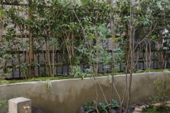 立水栓のある庭